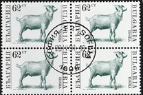 [Domestic Animals, type EKI]