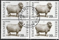 [Domestic Animals, Tipo ELX]