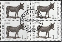 [Domestic Animals, Tipo EMB]