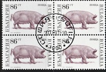 [Domestic Animals, Tipo EMA]
