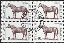 [Domestic Animals, Tipo ELZ]