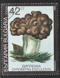 [Poisonous Mushrooms, type EKQ]