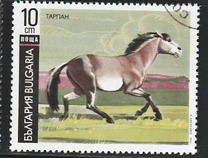 [Horses, タイプ ELE]