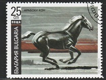 [Horses, タイプ ELF]