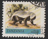 [Animals, type EZ]