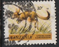 [Animals, type EW]