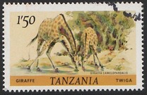 [Animals, type FD]