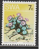 [Desert Plant, type DY]