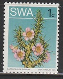 [Desert Plant, type DS]