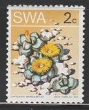 [Desert Plant, type DT]