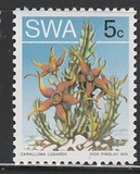 [Desert Plant, type DW]