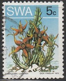 [Desert Plant, type DW]