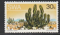 [Desert Plant, type EF]