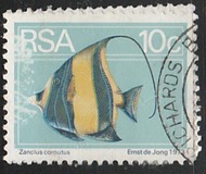 [Flora and Fauna, type NO]