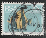 [Flora and Fauna, type NO]