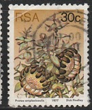 [Flora - Protea Plants, type PT]