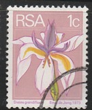 [Flora and Fauna, type NG]