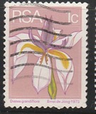 [Flora and Fauna, type NG]