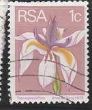 [Flora and Fauna, type NG]
