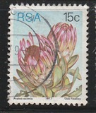 [Flora - Protea Plants, type PQ]