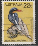 [Birds, type TW]