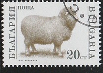 [Domestic Animals, タイプ ELX]