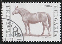 [Domestic Animals, タイプ ELZ]