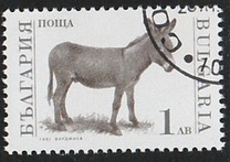[Domestic Animals, タイプ EMB]