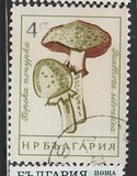 [Mushrooms, type ANQ]