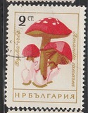 [Mushrooms, type ANP]