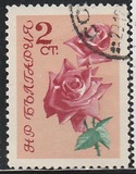 [Rosas., tipo APB]