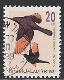 [Songbirds, type ATB]