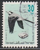 [Songbirds, type ATC]