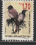 [Songbirds, type AUH]