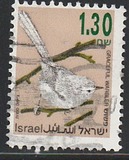[Songbirds, type AUG]