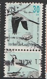 [Songbirds, type ATC]