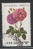 [Roses, type AET]