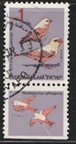 [Songbirds, Tipi AWH]