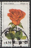 [Roses, type AEV]