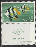 [Red Sea Fish, type IK]