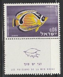 [Red Sea Fish, type IL]