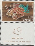 [Red Sea Fish, type IM]