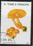 [Fungi, 类型 ABB]