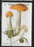 [Fungi, 类型 ABC]