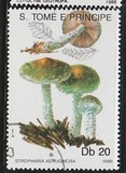 [Fungi, 类型 ABA]