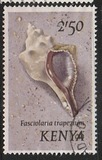 [Seashells, тып AU]