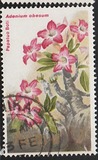 [Flowers, typ IN]