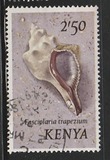 [Seashells, тып AU]