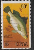 [Sport Fishing - Fish, Typ BN]