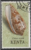 [Seashells, тып AW]